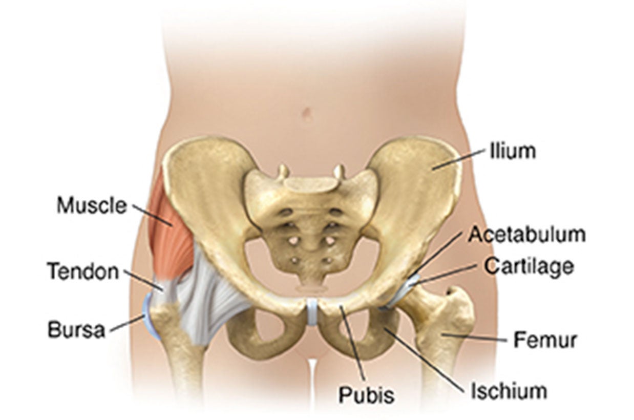 Hip Illustration