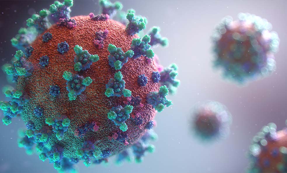 Virus up close